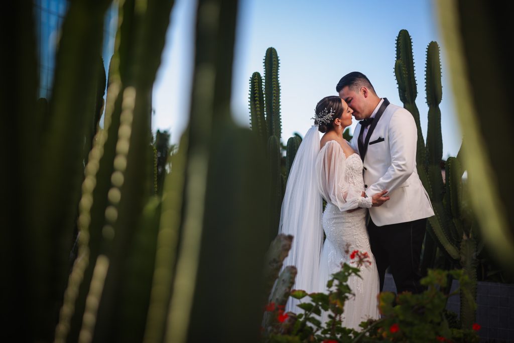 boda quartz
